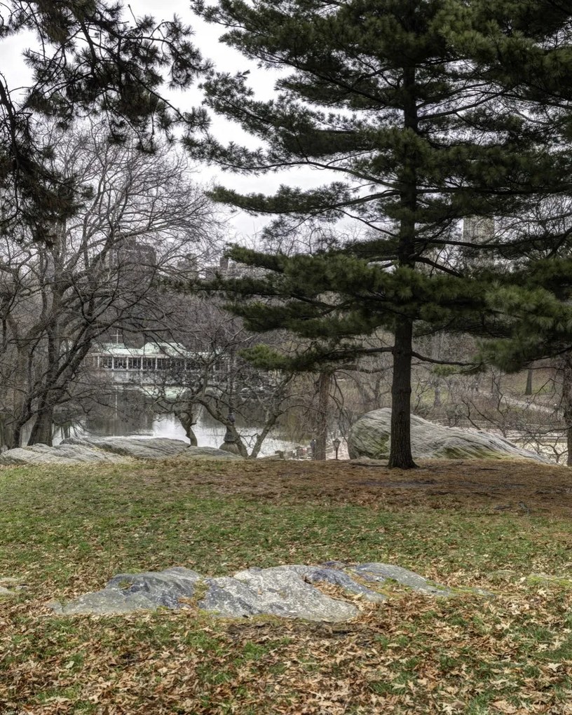 Poszter 40x50cm Central Park, New York, Assaf Frank