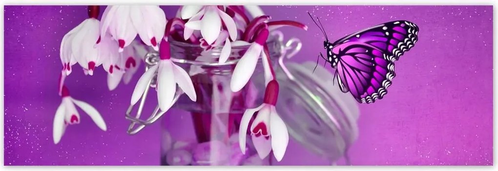 Poszterek 200x66 Hóvirág és pillangó