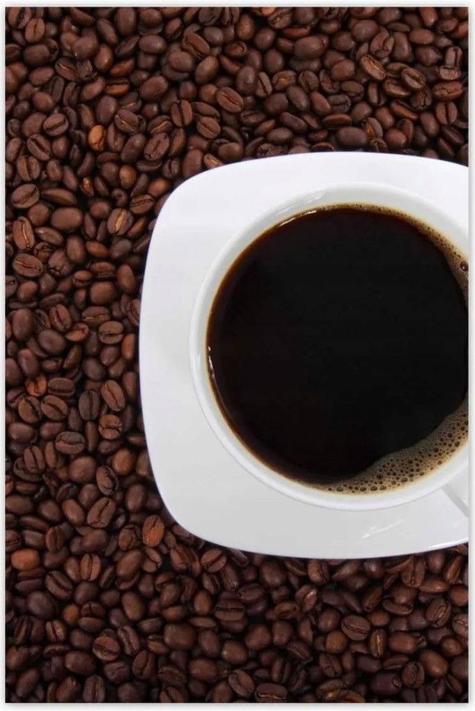 Poszterek 80x120 Csésze az erősítéshez