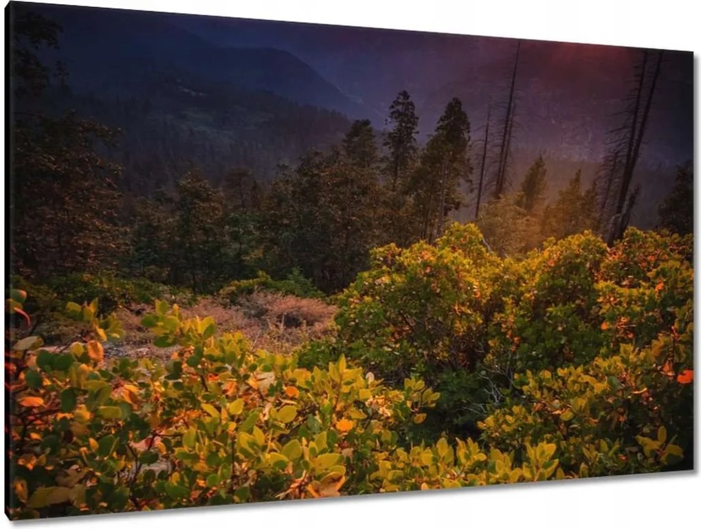 Festmények 120x80 Kilátás Tájkép