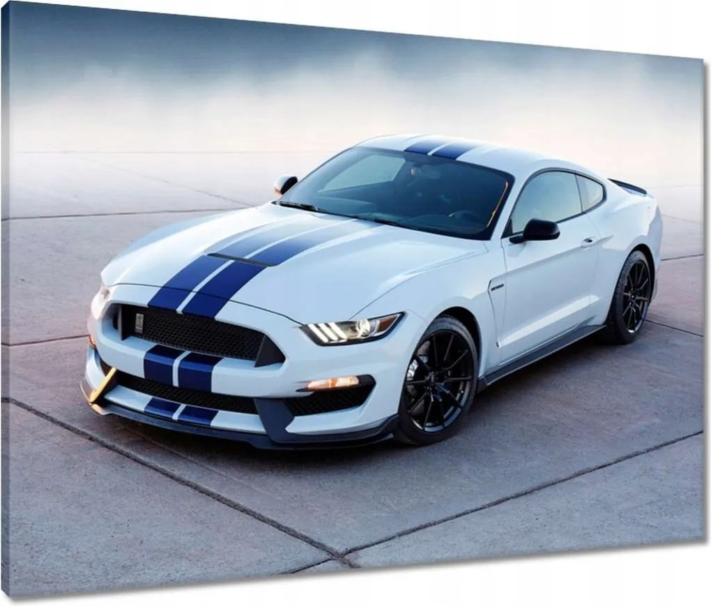 Vászonkép 80x60 Ford Mustang Shelby