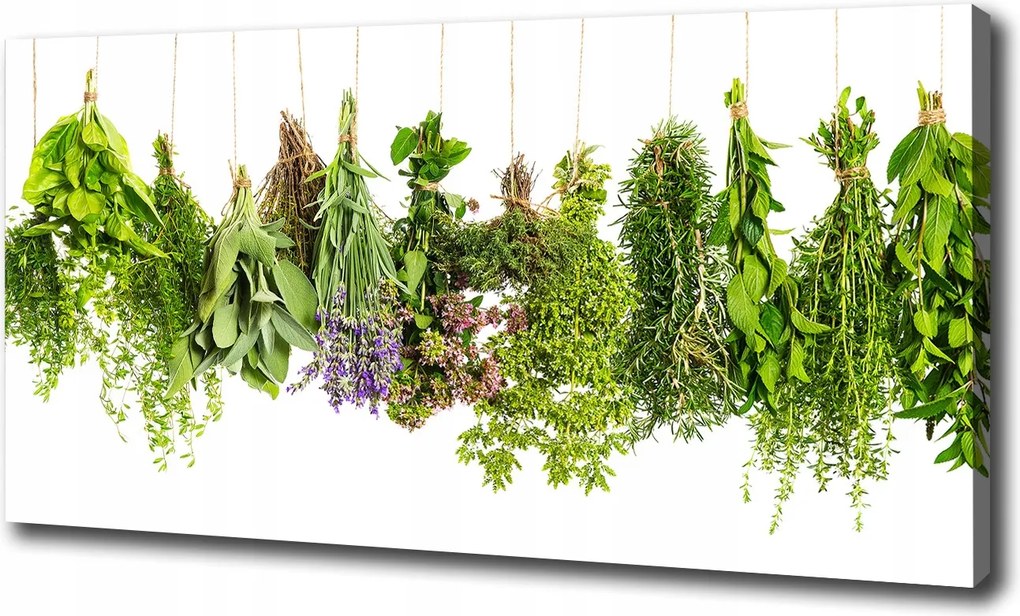 Vászonkép Gyógynövények zsinóron 100x70 cm