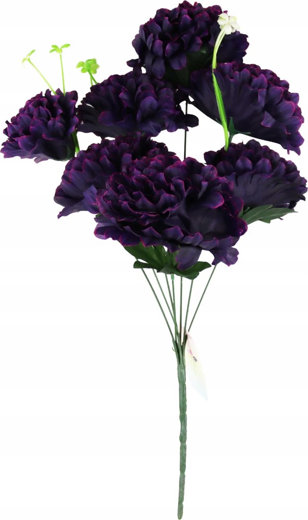Krizantém csokor 7 virág 50cm sötét lila szín