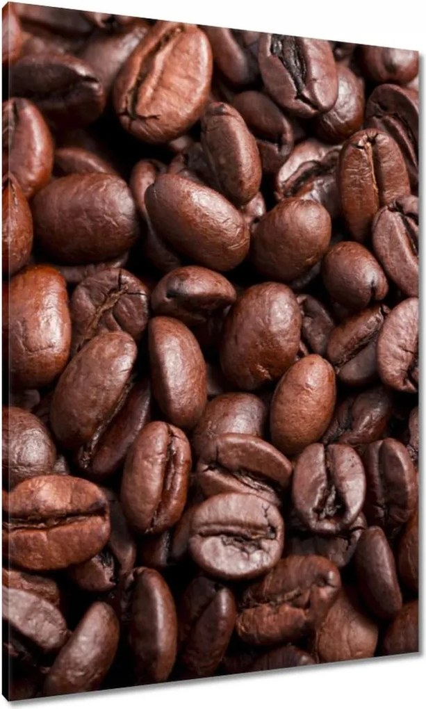 Vászonkép 70x100 Kávébab