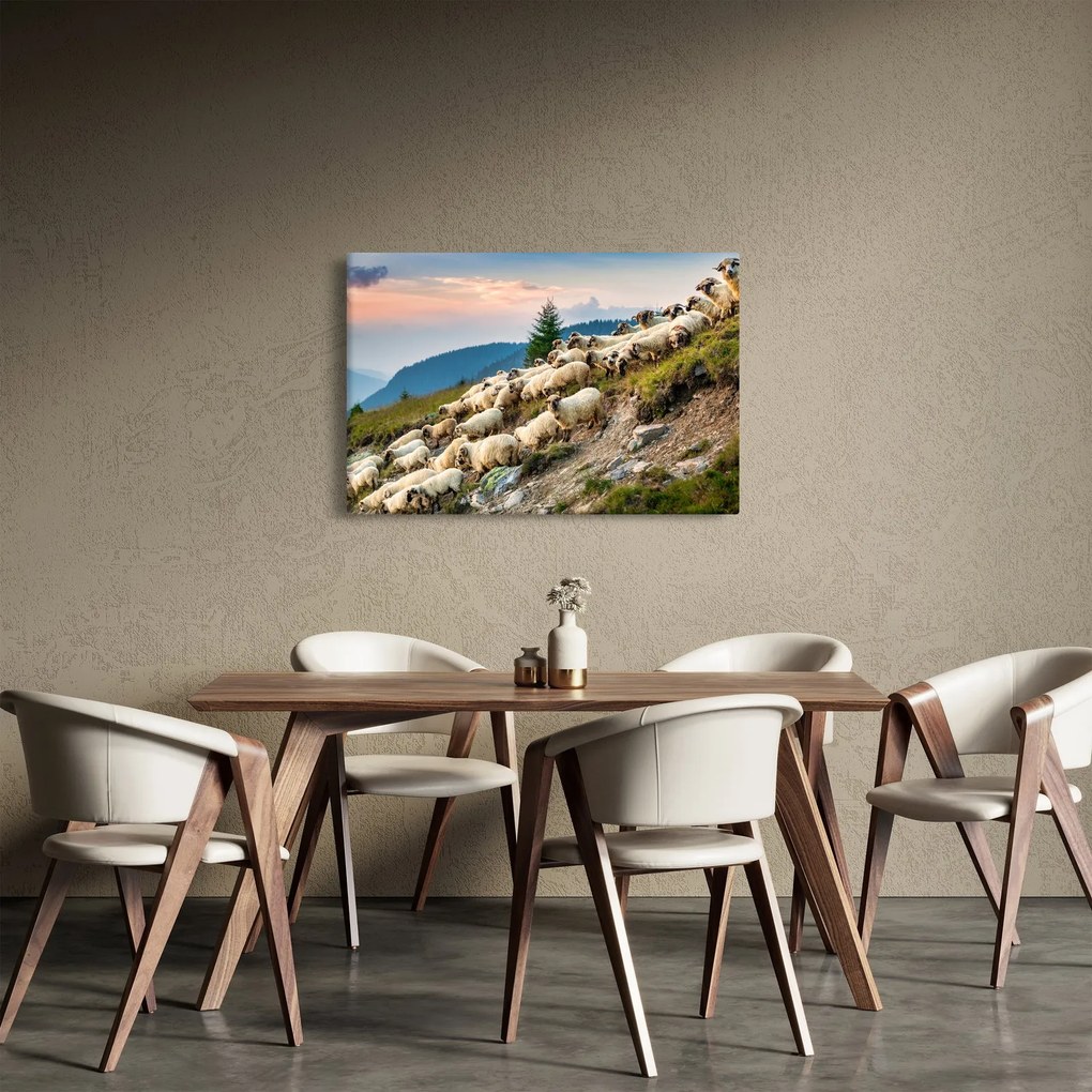 Kép - Egy nyáj birka (90x60 cm)