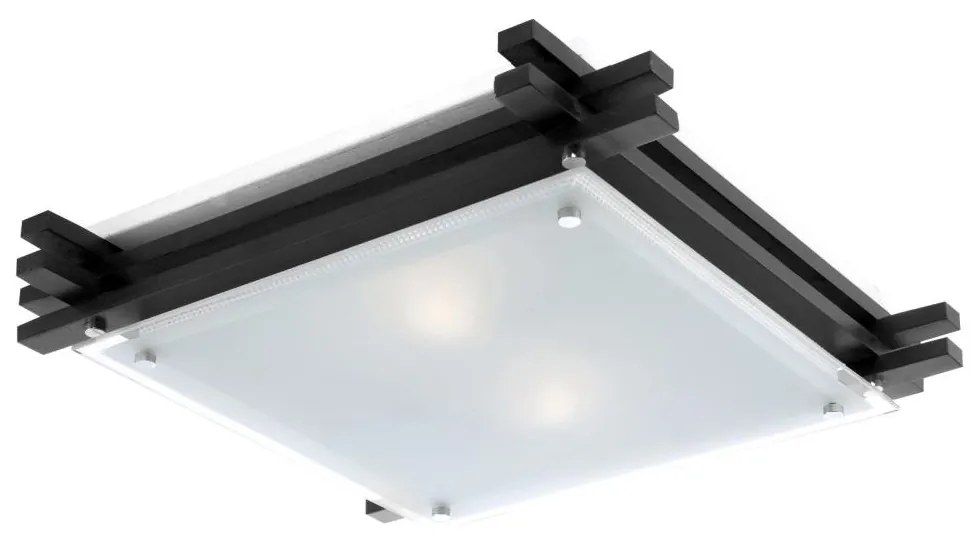 GLOBO 48324-2 - Mennyezeti lámpa EDISON 2xE27/60W/230V