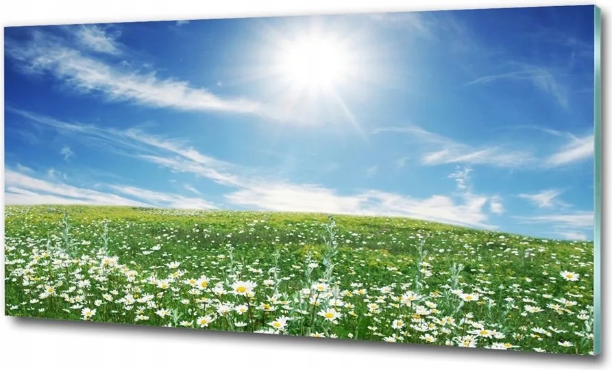 Fotótapéta üvegfalra Kaszkád az erdőben 100x70