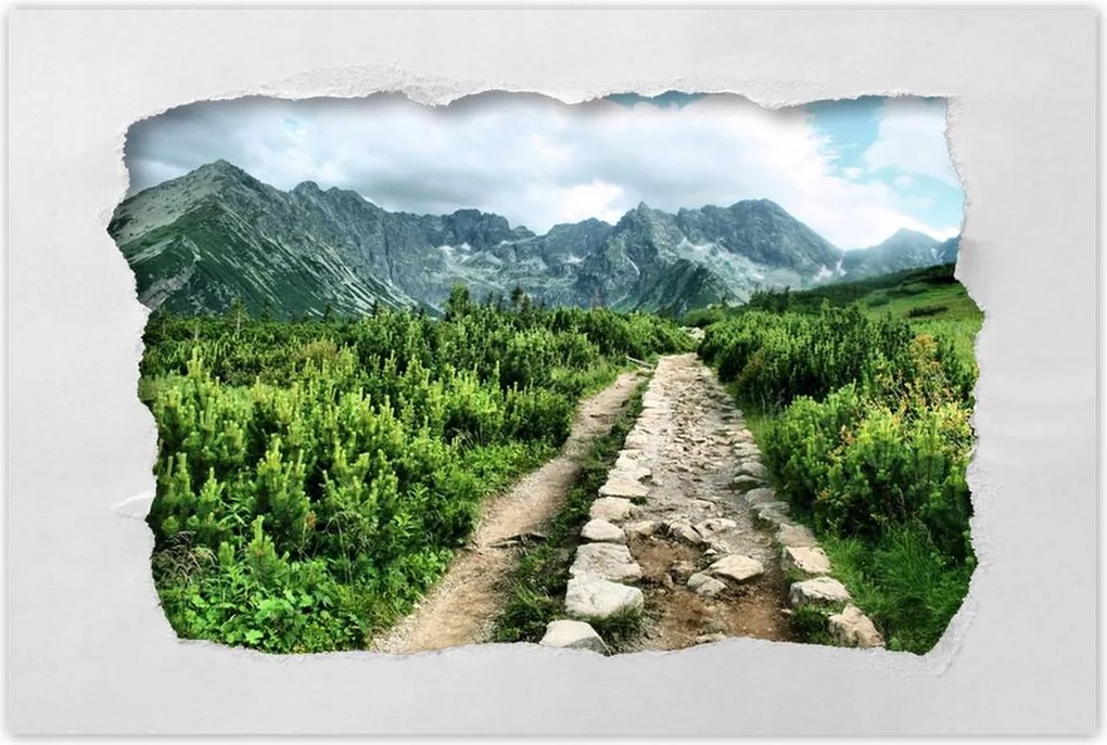 Poszterek 120x80 Kő út Tátra