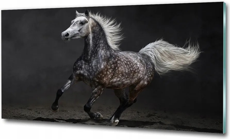 Fotó-üvegkép Szürke arab ló 100x70