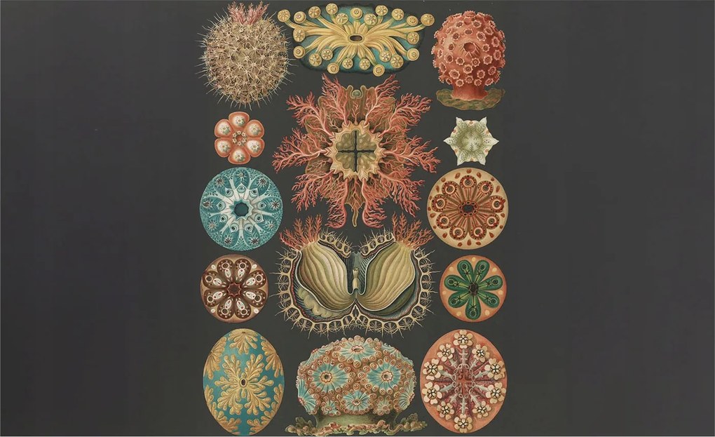 Fotótapéta Flizelin Fal a Hálószobába Tengeri inspirációk 416x254 Ragasztó