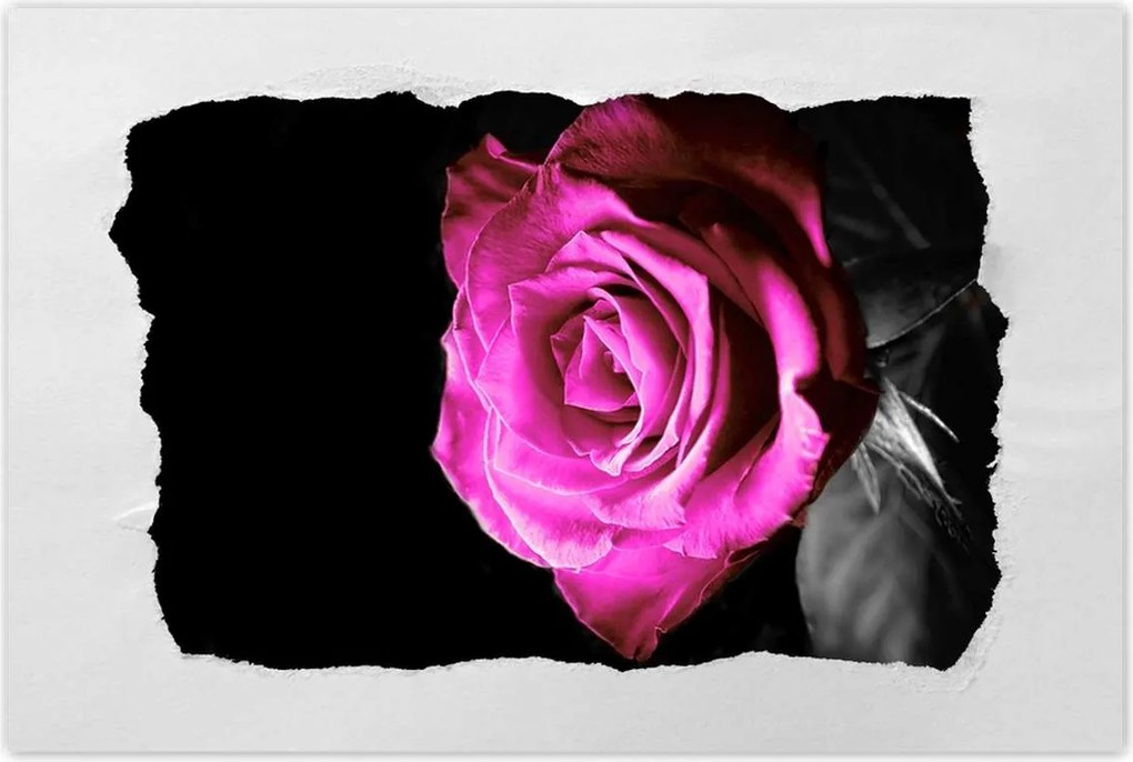 Poszter 90x60 Rózsa lila