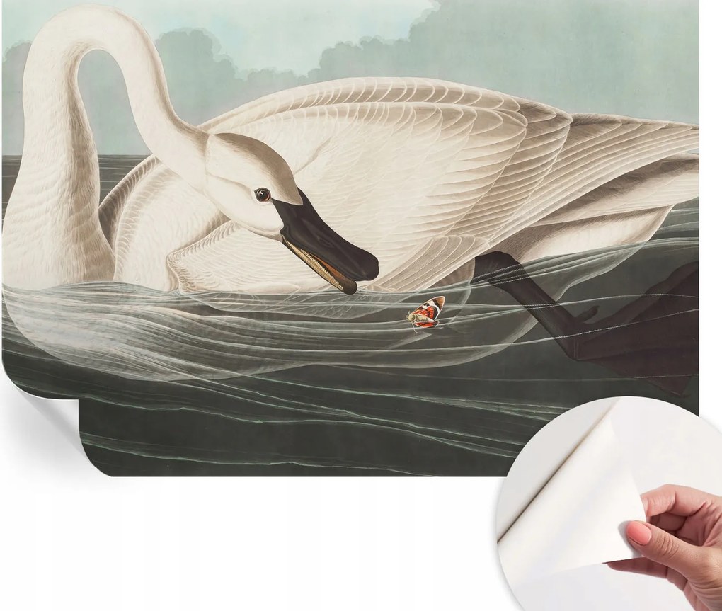 Öntapadós tapéta Divatos 3D fali ragasztóval A természet harmóniája 152x104 cm