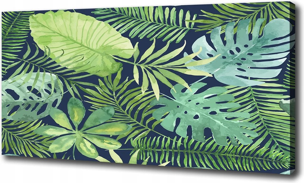 Vászonkép Trópusi levelek 100x70 cm