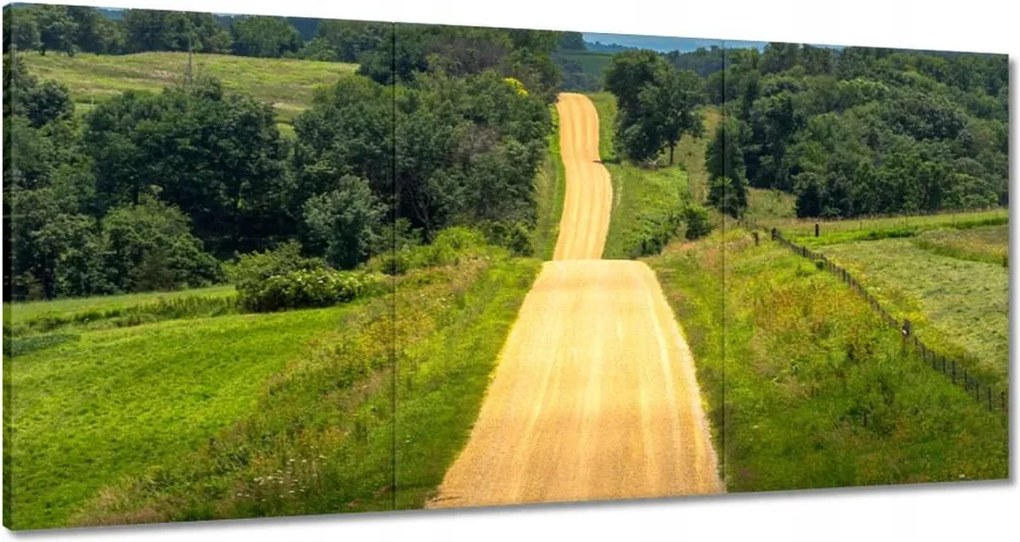 Vászonkép 180x90 Út Rét Mező Erdő