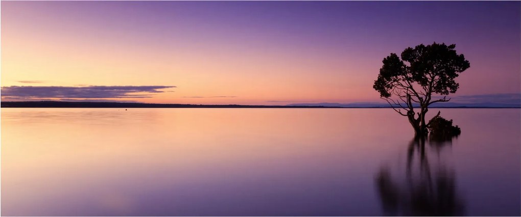 A vízfelszín képe napkeltekor (120x50 cm)