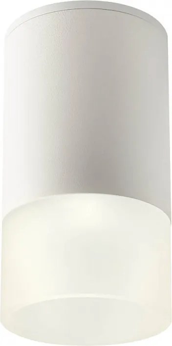 REDO 90350 XILO Modern Kültéri Mennyezeti Lámpa LED IP54