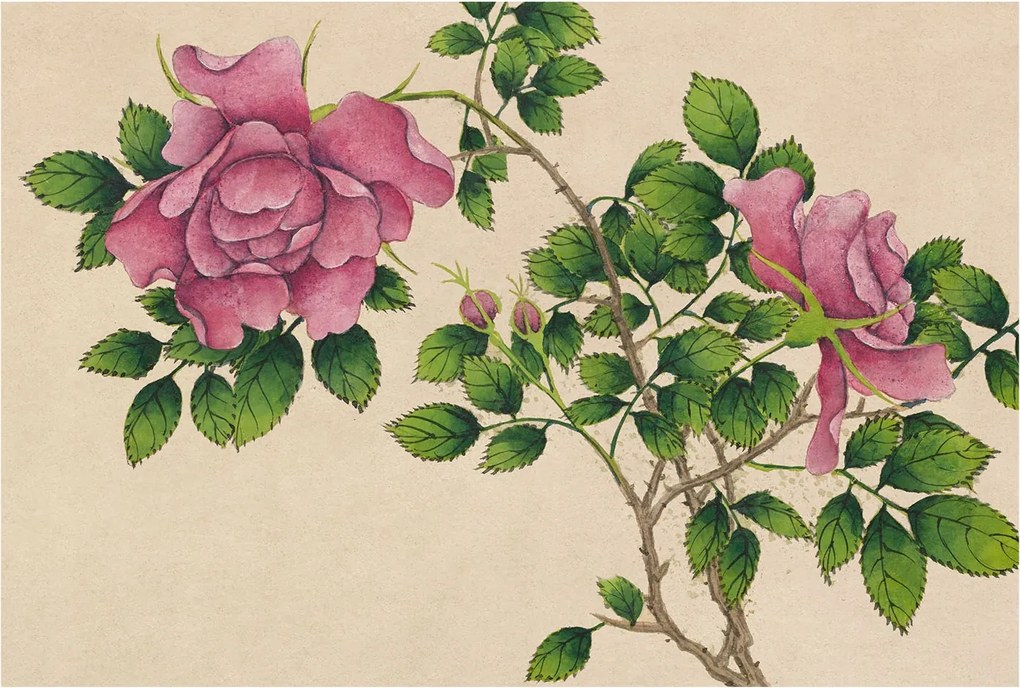 Fotótapéta Flizelin Dekoratív az irodába Romantikus rózsák 104x70 Ragasztó