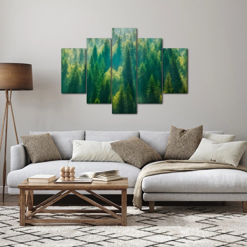 Kép - fenyőerdő (150x105 cm)