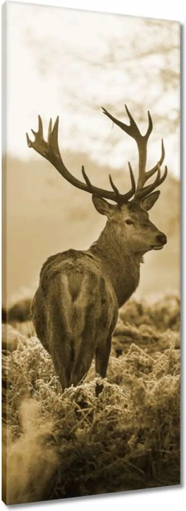 Vászonkép 40x100 Szarvas az erdőben