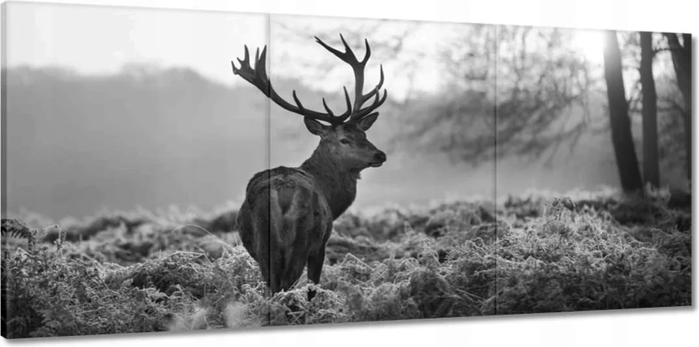 Vászonkép 150x70 Fekete-fehér szarvas