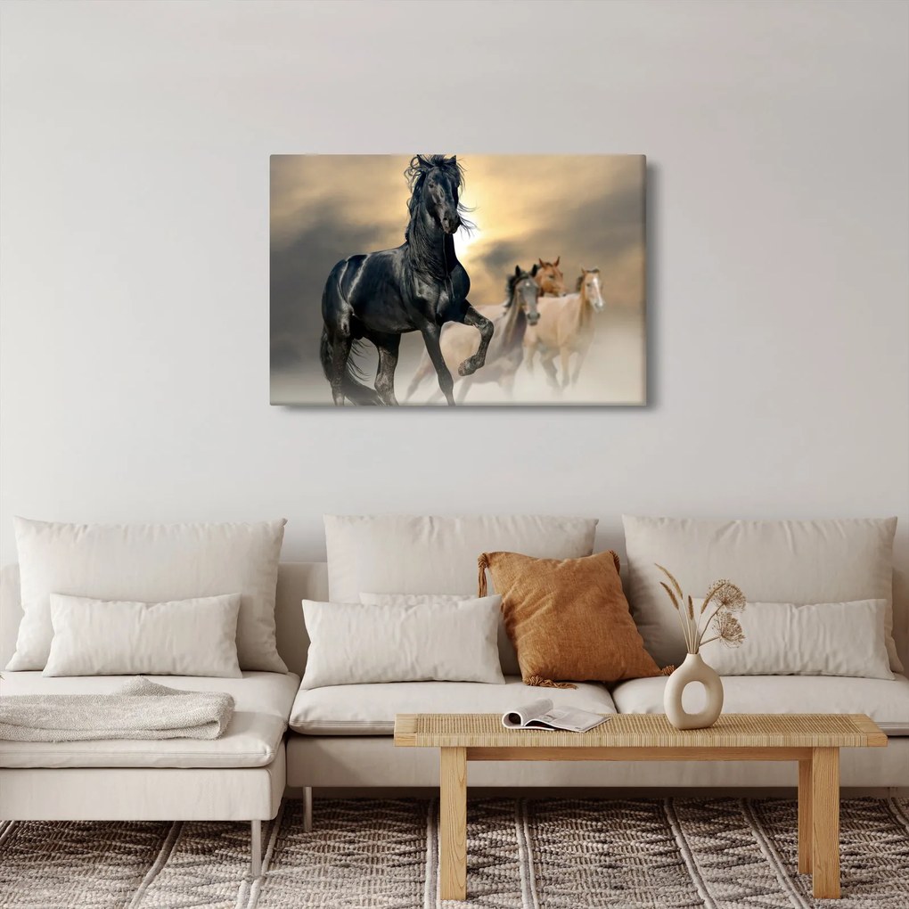Kép - Lovak (90x60 cm)