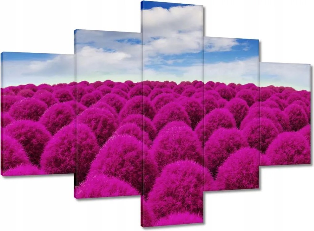 Vászonkép 100x70 Kifejező rét Tájkép