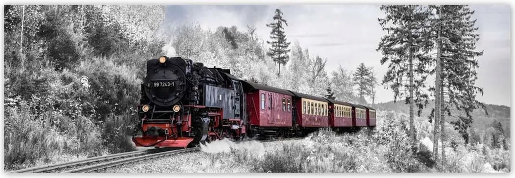 Fotótapéták 312x104 Vonat és téli aura