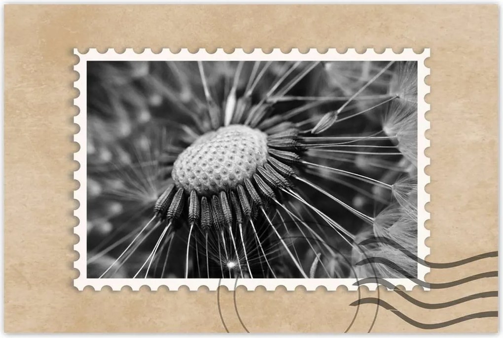 Poszterek 120x80 Pitypang Virág Virágok