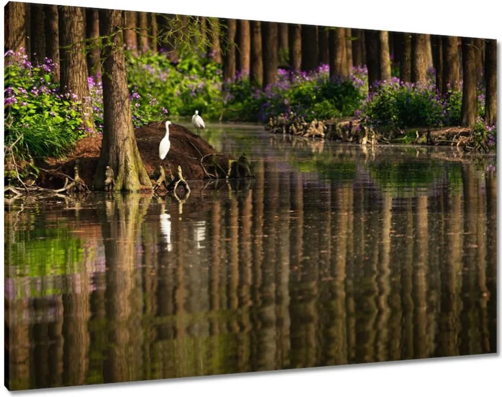 Festmények 100x70 Tájkép Látvány