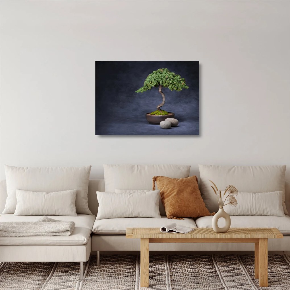 Kép - Bonsai (üvegen) (70x50 cm)