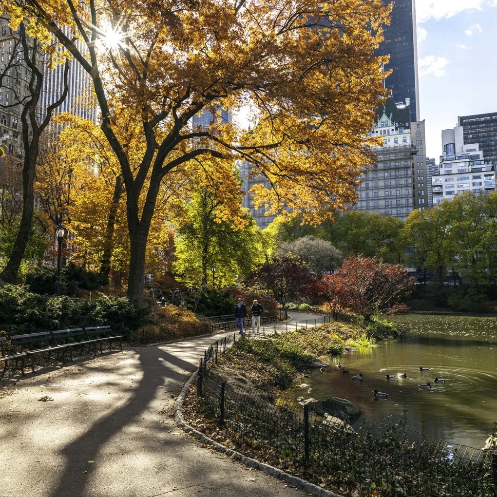 Poszter 40x40cm Ösvény a központi parkon át 5, Assaf Frank