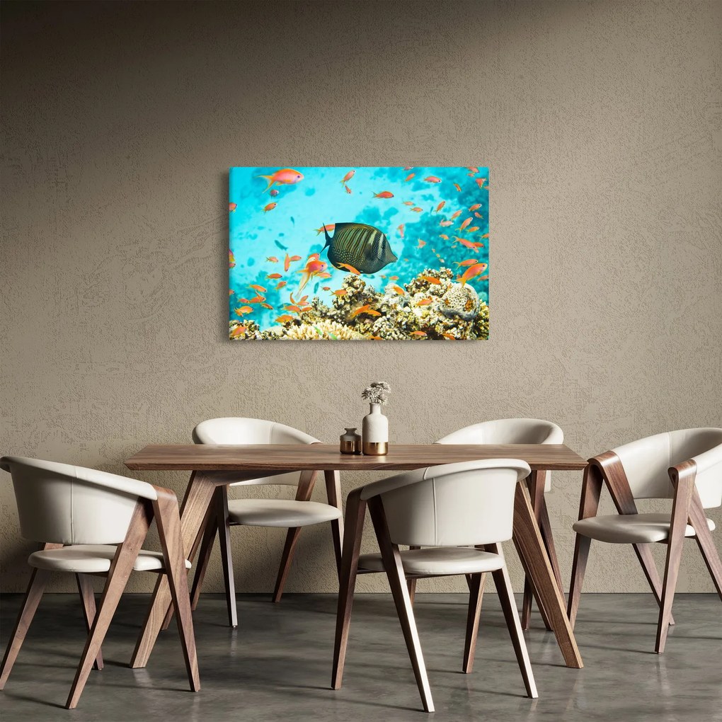 A víz alatti világ képe (90x60 cm)