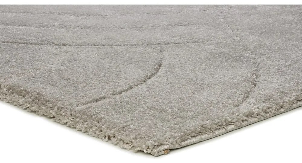 Világosszürke szőnyeg 160x230 cm Molier – Universal