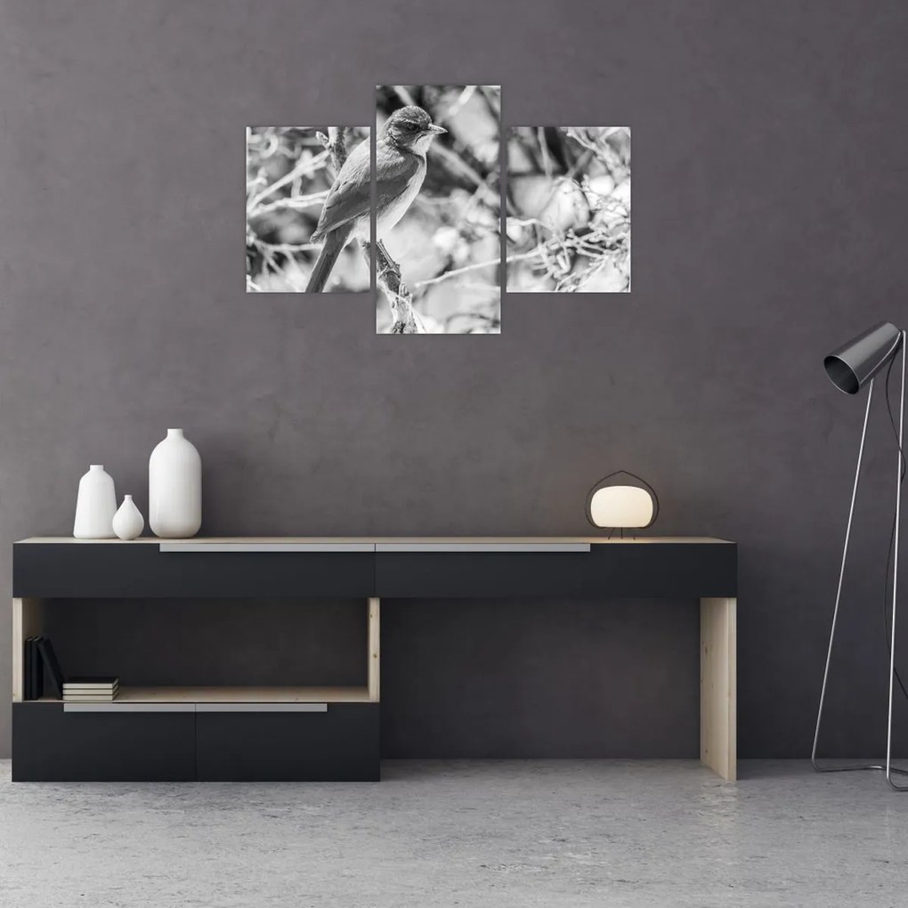 Kép - Kék madár télen (90x60 cm)