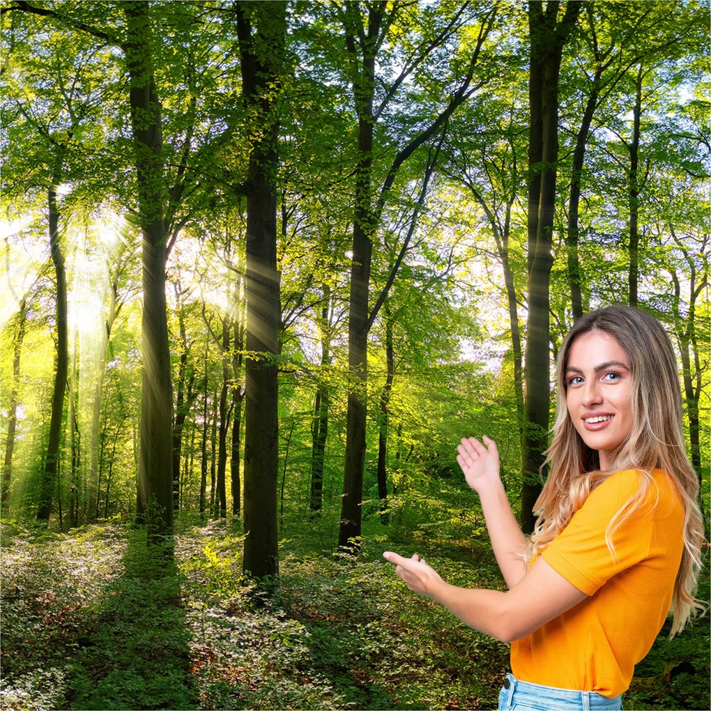 3D fotótapéta Nappali Hálószoba Erdő Fák Nap 392x280 P07F