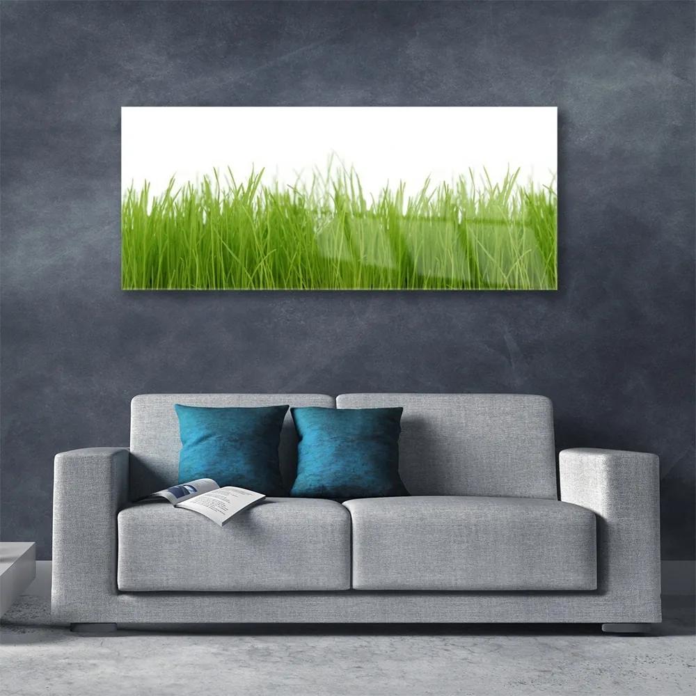 Fali üvegkép Grass Nature Plant 125x50 cm