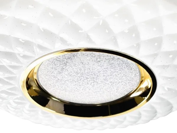 LED Dimmelhető mennyezeti lámpa TOKYO LED/48W/230V 3000-6000K + távirányító