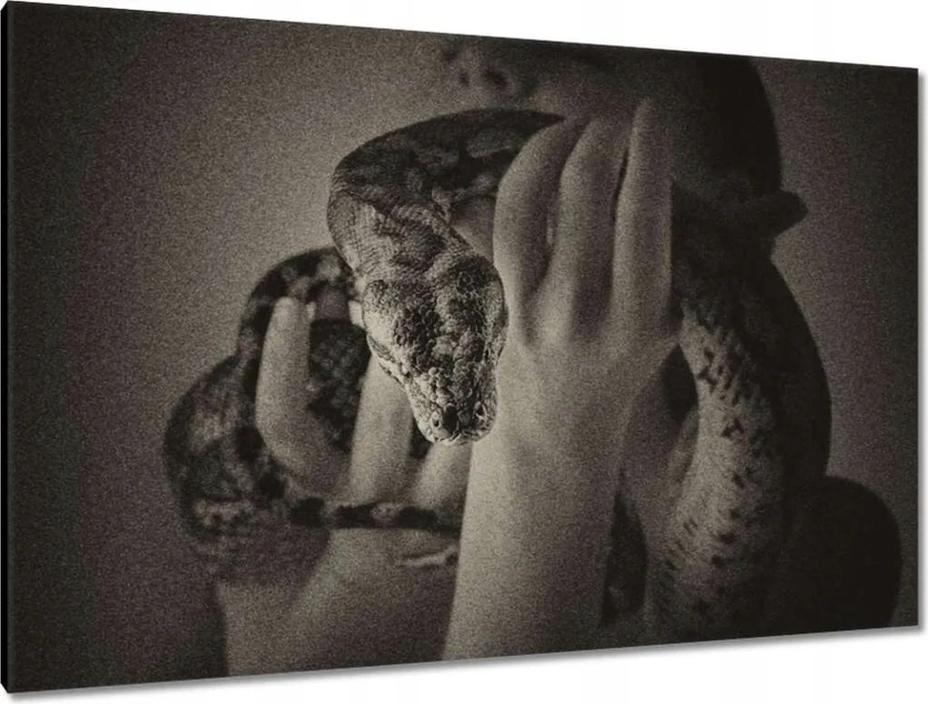 Képek 120x80 Aktok Meztelenség Szerelem Fotó