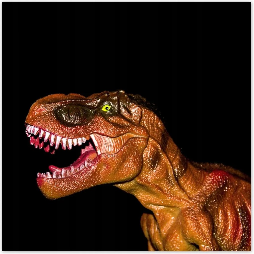 Poszterek 100x100 Tyrannosaurus fekete alapon