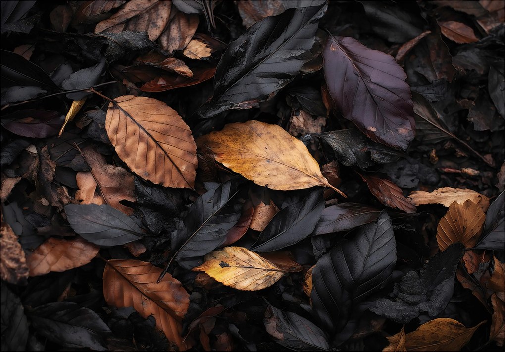 Fotótapéta Levelek Természet Fekete Hálószoba Nappali Tapéta Flizelina 350x250