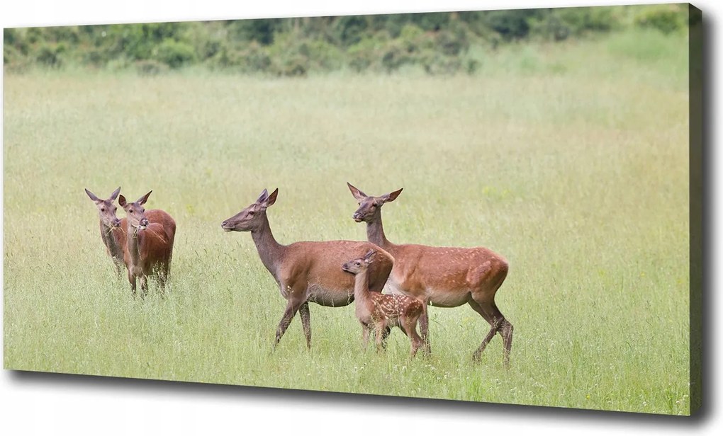 Vászonkép Szarvasok a fiatalokkal 100x70 cm