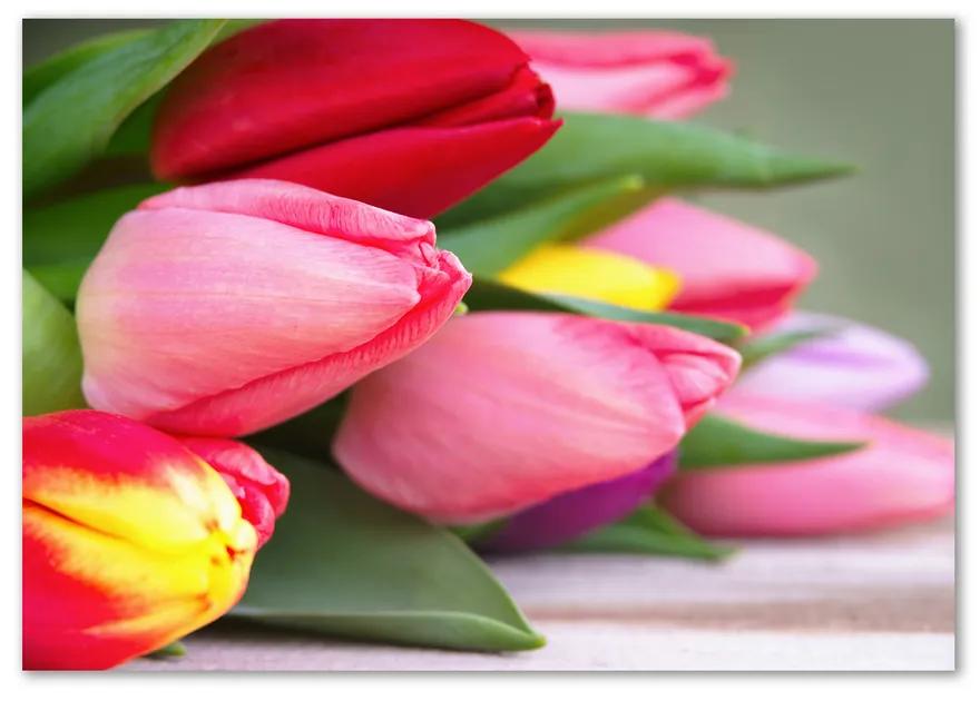 Egyedi Üvegkép Színes tulipán pl-osh-100x70-f-98761222
