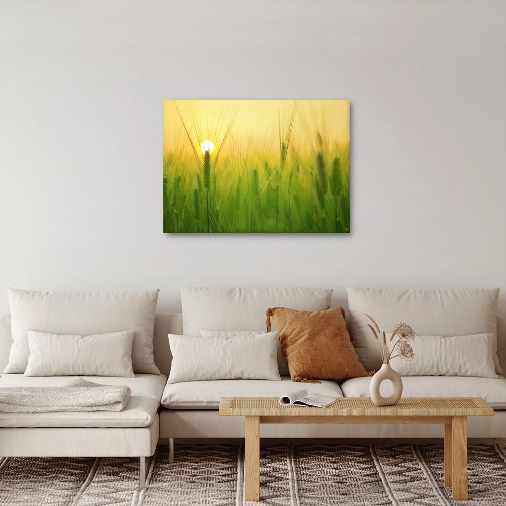 Kép - Mező gabonával (70x50 cm)