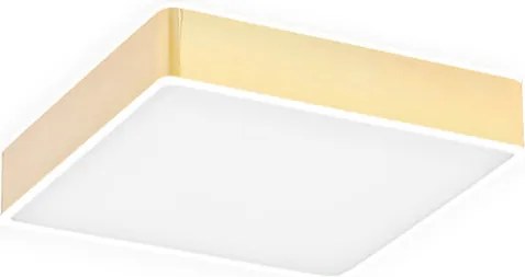 ARGON 4051 ATLANTIS Négyzetes Mennyezeti Lámpa Fehér, Arany LED IP20