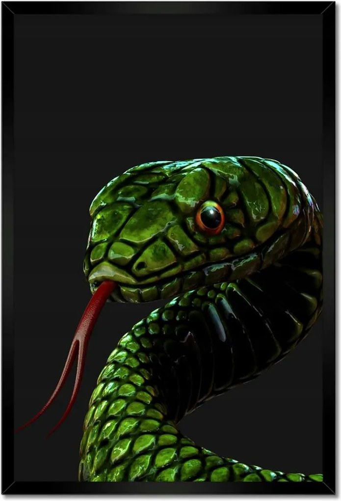 Poszterek keretben 40x60 Óriás zöld kígyó