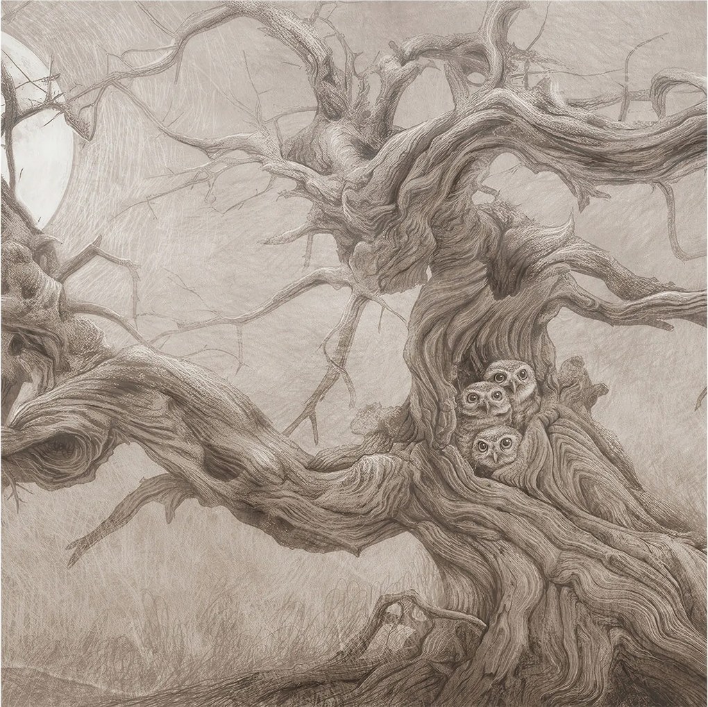 Fotótapéta Flizelina Nappali és Hálószoba Éjjeli madarak 250x250 Ragasztó