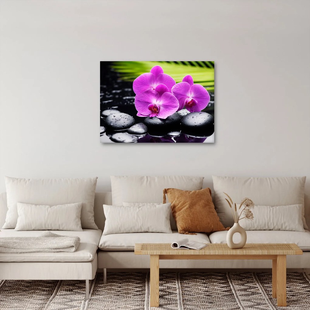 Kép - Orchideák (70x50 cm)
