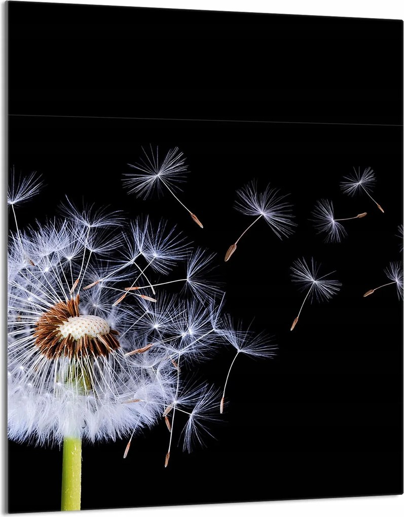 Üveg Vágódeszka 40x52 Virág a Konyhába