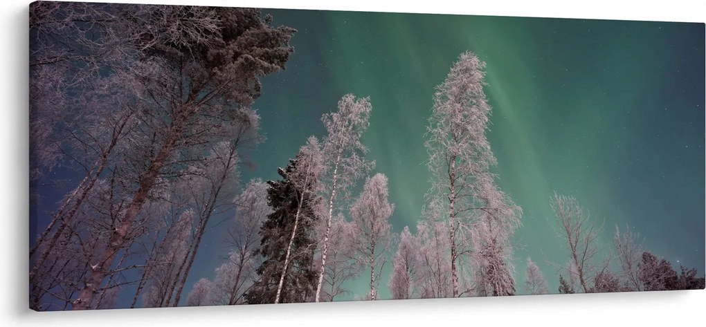 Az aurora borealis képe fagyos fák felett (120x50 cm)