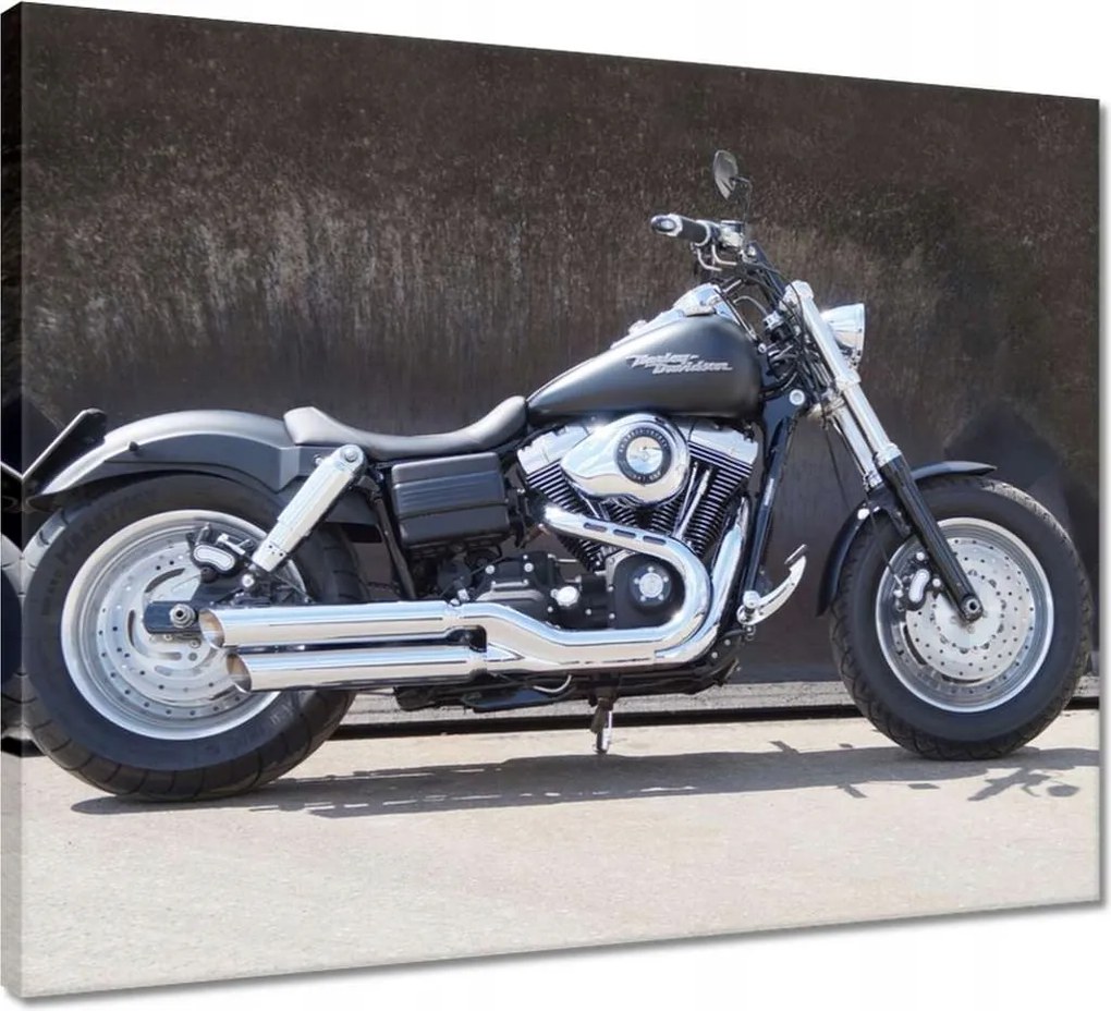 Vászonkép 50x40 Motor Harley Davidson